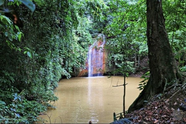 Panduan Liburan ke Samarinda: Menikmati Wisata dan Budaya di Ibu Kota Kalimantan Timur