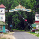 Wisata lampung waykambas