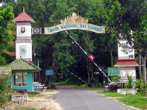 Wisata lampung waykambas